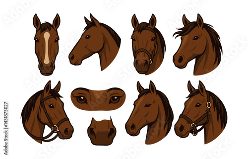 Elegant horse head icons set - flat style for equestrian and animal-themed projects. Vector icons