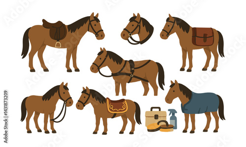 Horse gear icons set - saddle, bridle, tack, grooming tools in flat style. Vector icons