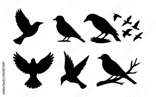 Elegant bird silhouette icons set - for design projects, apps, and websites. Vector icons