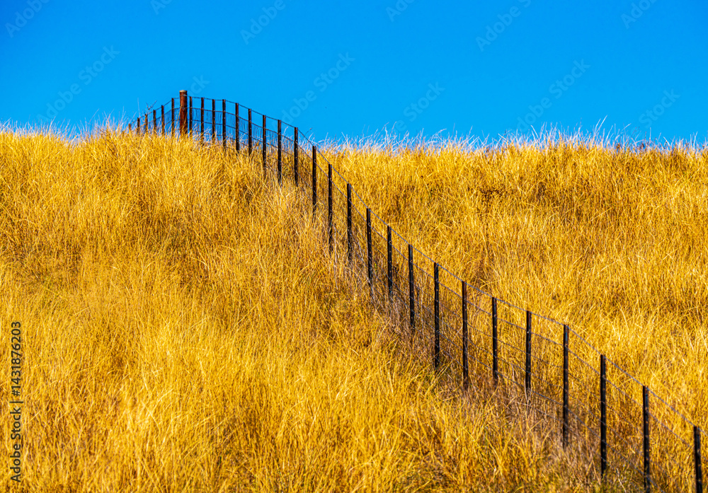 Obraz premium Fence and Field