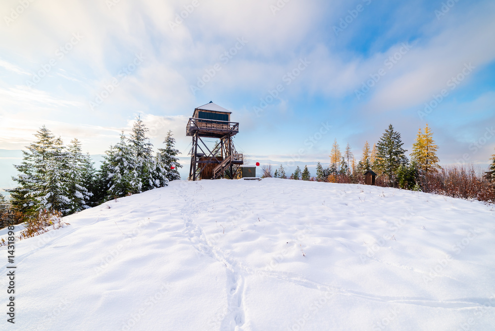 Autumn Larches And Fresh Snow At Lookout Autumn Larches And Fresh Snow At Lookout