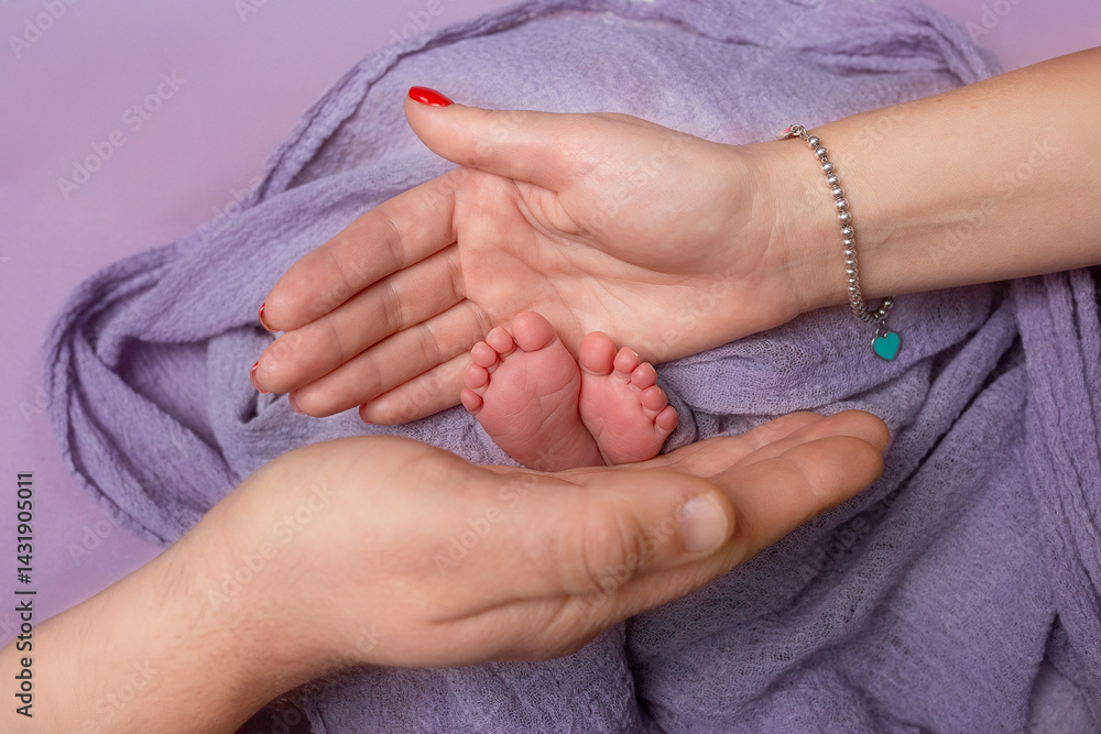 Fototapeta premium BD0A8984-Edit.tif