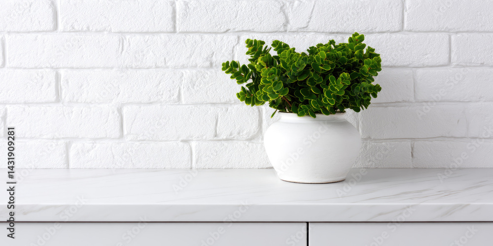 Naklejka premium Potted green plant with lush leaves in white ceramic pot on white countertop near textured brick wall, creating a minimalist and fresh aesthetic indoors. 