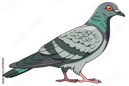 30 Detailed pigeon portrait, side view, realistic feathers, gray and iridescent green plumage, orange eyes, pink feet, white background, high resolution, studio lighting, wildlife photography, ornitho