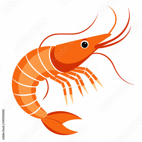 vector illustration of shrimp