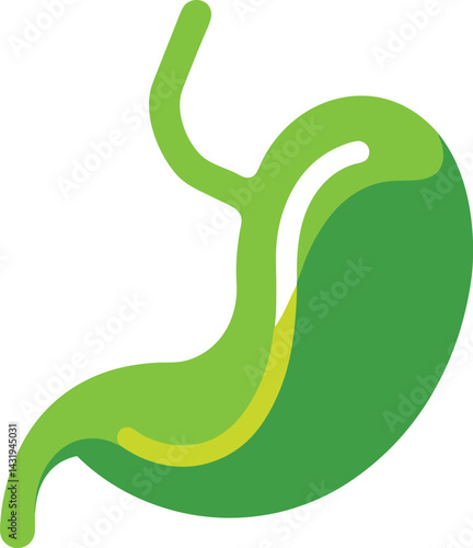 Gallbladder