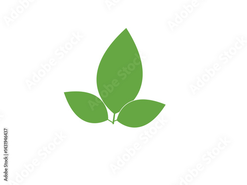 Green Leaf Icon – Eco-Friendly Nature Symbol on White Background