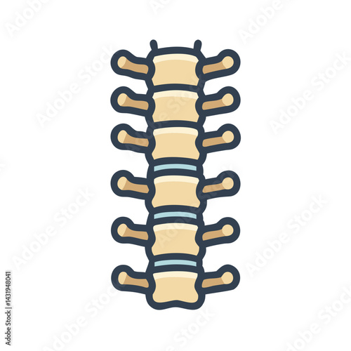 Human spine structure vector illustration on black background