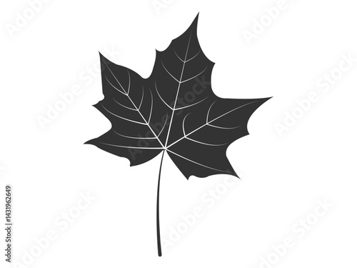 Maple Leaf Silhouette – Black Vector Autumn Leaf Isolated on White Background