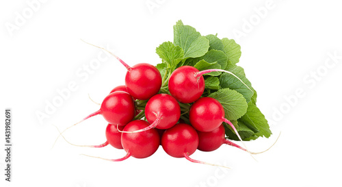 A group of fresh radishes with vibrant red skin and green leaves isolated on a black background scene