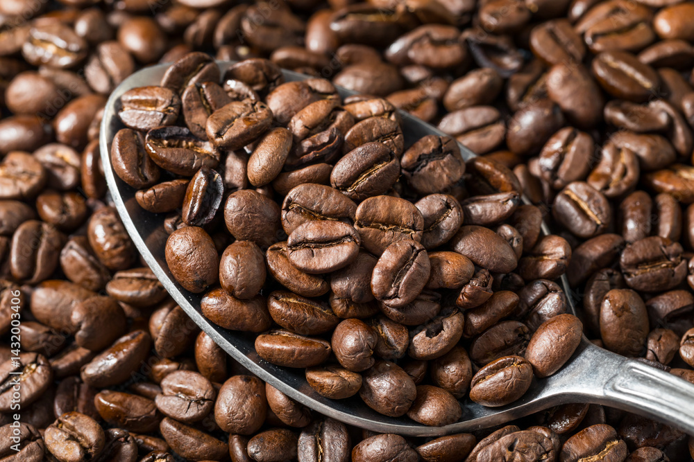 Fototapeta premium Organic Brown Espresso Coffee Beans