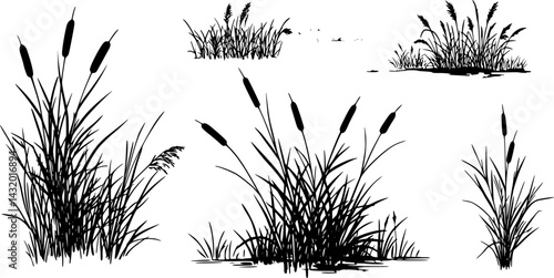 An ink artwork showcasing black and white cattail grass. A calm oriental landscape with plants. Suitable for posters, prints, or meditation backdrops. An abstract, peaceful nature