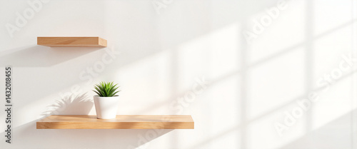 Minimalist plant on wooden shelf in bright room, calm serenity