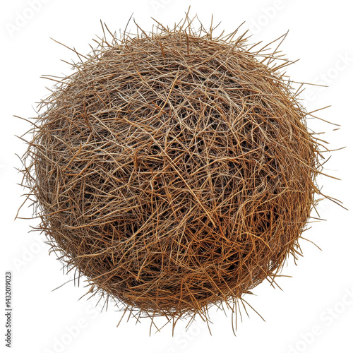 Obraz na płótnie Round, dry tumbleweed isolated on white transparent background w salonie