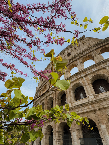 Colosseum in spring time, Rome, Italy. High quality photo