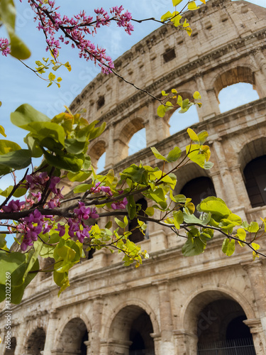 Colosseum in spring time, Rome, Italy. High quality photo