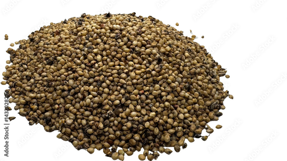 Sorghum Seeds Isolated on Transparent PNG Background – High-Resolution Grain Crop Elements for Agricultural, Botanical, and Organic Food Design Projects Sorghum Seeds Isolated on Transparent PNG Background – High-Resolution Grain Crop Elements for Agricultural, Botanical, and Organic Food Design Projects