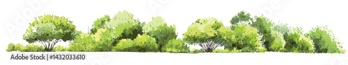 Vector watercolor green tree or forest side view isolated on white background for landscape and architecture drawing,elements for environment or and garden,Shrub for section