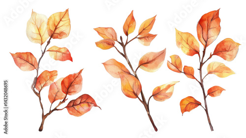 Obraz na płótnie watercolor autumn branch element set isolated on white transparent background w salonie