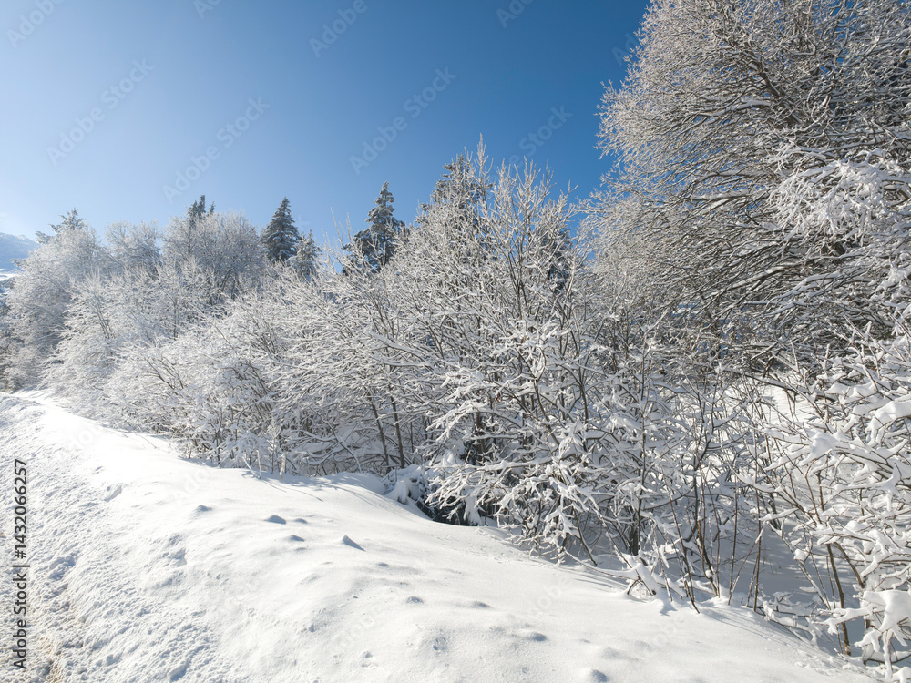 Panorama of Vitosha Mountain, Bulgaria