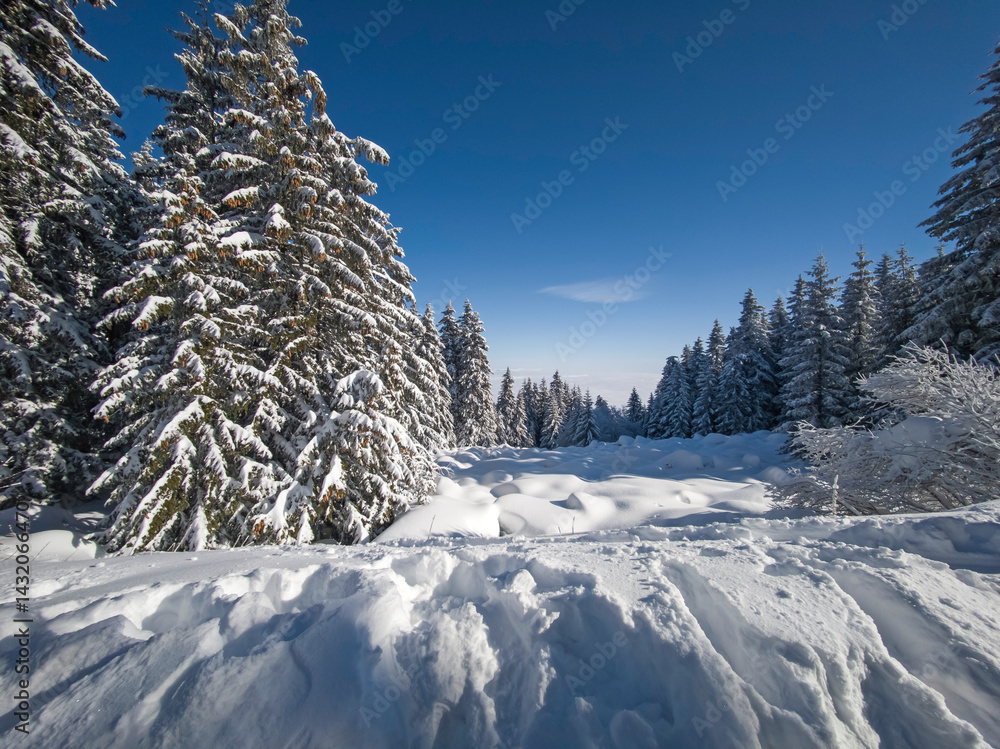Panorama of Vitosha Mountain, Bulgaria