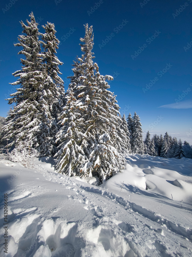 Panorama of Vitosha Mountain, Bulgaria