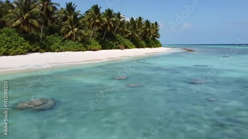 Tropical Beach Paradise: Turquoise Water, White Sand, and Palm Trees