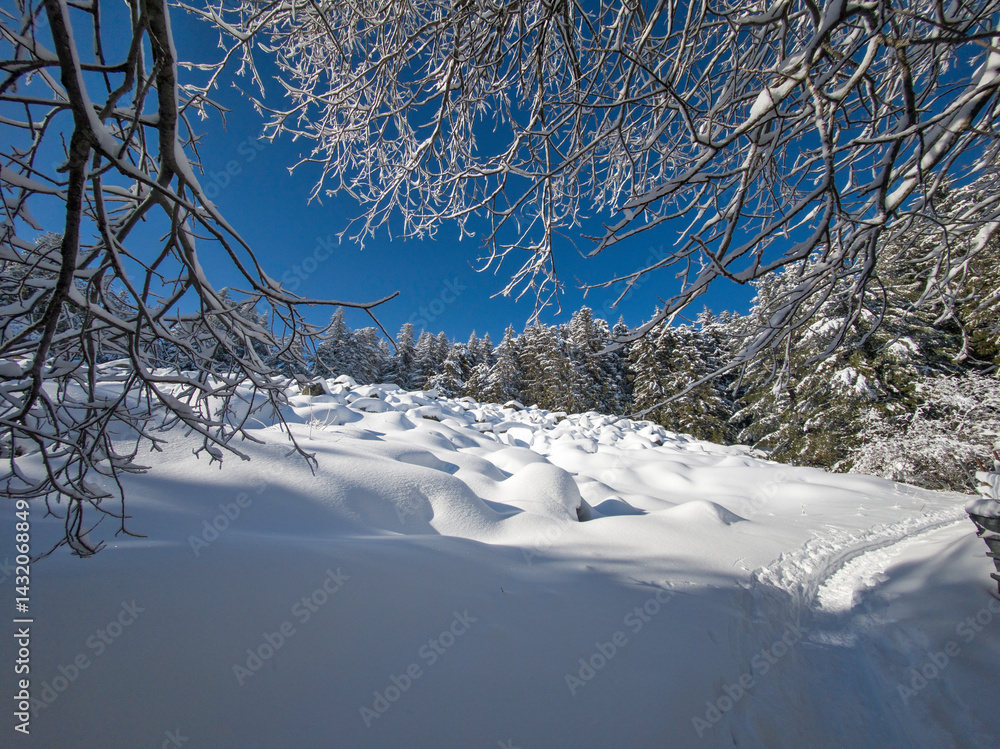 Panorama of Vitosha Mountain, Bulgaria