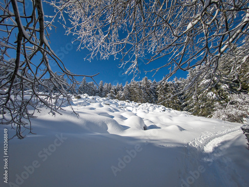 Obraz na płótnie Panorama of Vitosha Mountain, Bulgaria w salonie