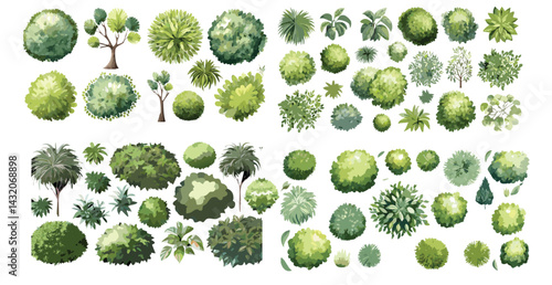 Vector set of Top view green tree for outdoor plan or map and architecture drawing, elements for environment and garden ,botanical elements ,Blooming flowers in spring,tropical plants element-