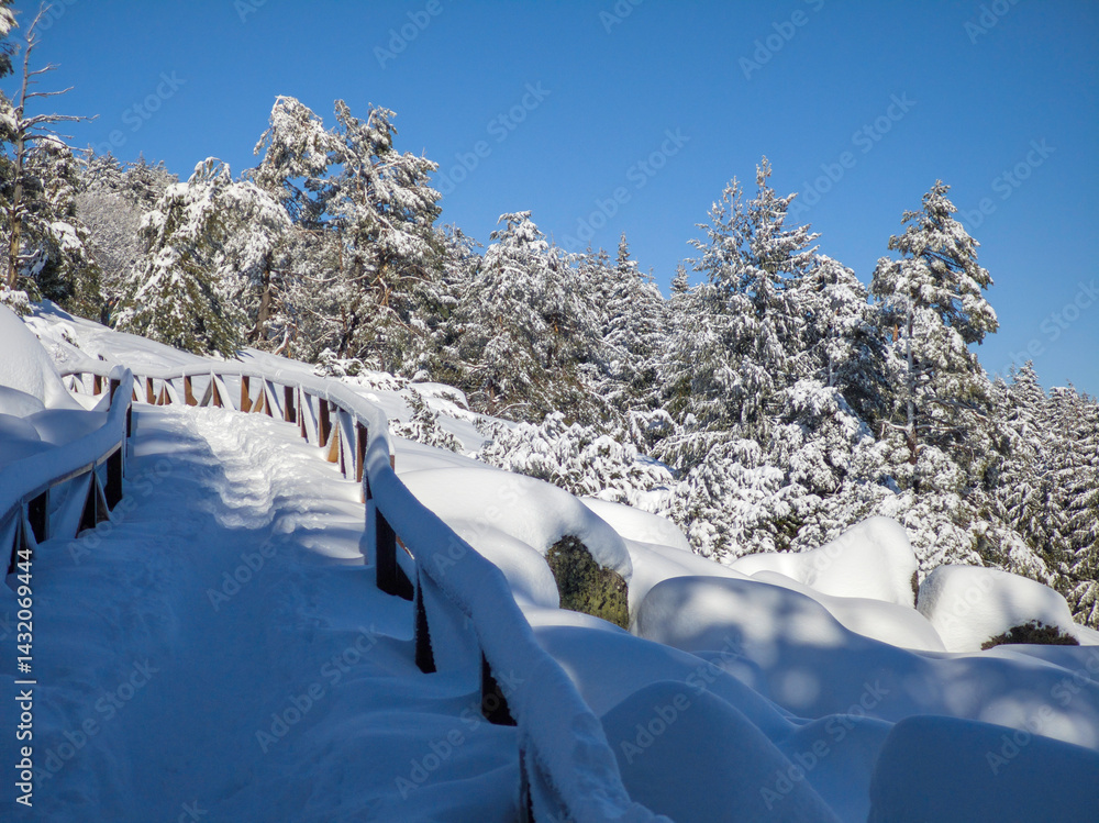 Panorama of Vitosha Mountain, Bulgaria