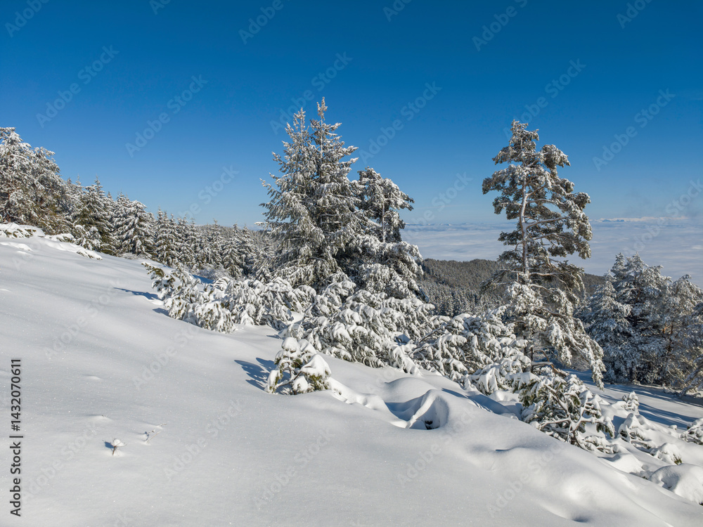 Panorama of Vitosha Mountain, Bulgaria