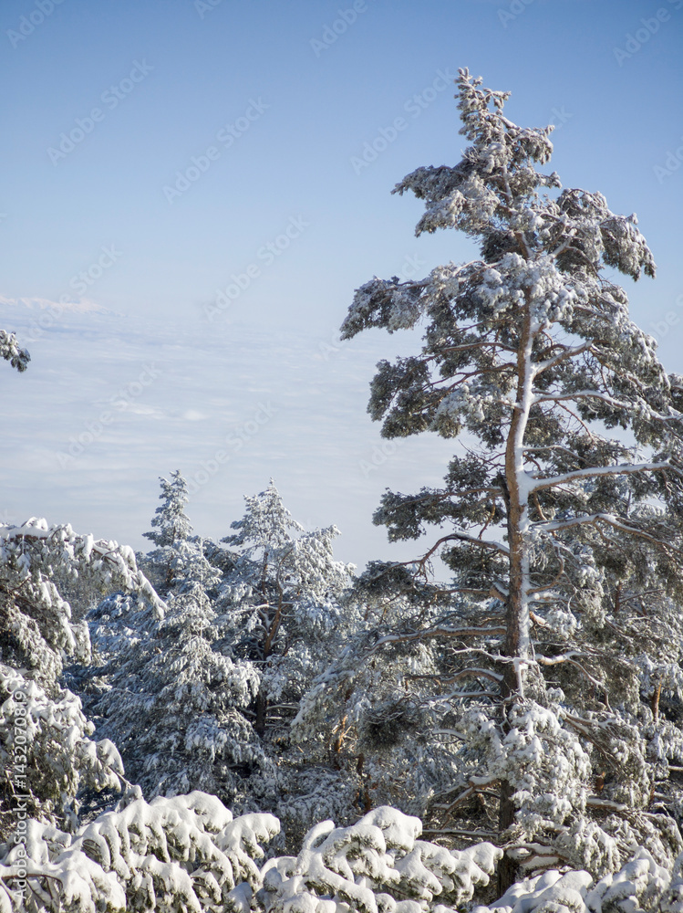 Panorama of Vitosha Mountain, Bulgaria