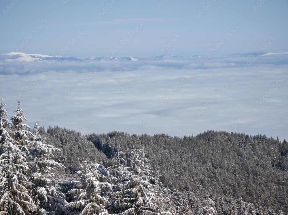 Panorama of Vitosha Mountain, Bulgaria