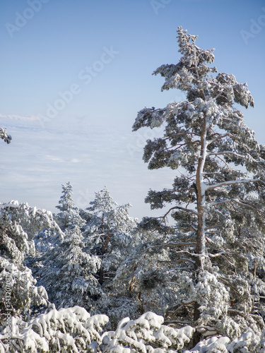Obraz na płótnie Panorama of Vitosha Mountain, Bulgaria w salonie