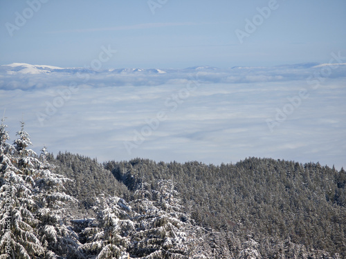 Obraz na płótnie Panorama of Vitosha Mountain, Bulgaria w salonie