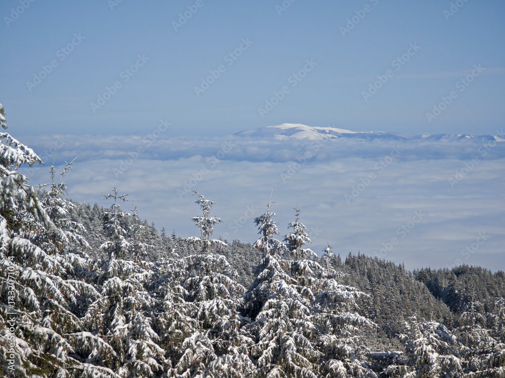 Panorama of Vitosha Mountain, Bulgaria