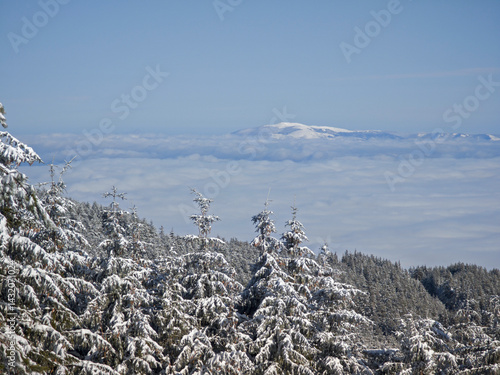 Obraz na płótnie Panorama of Vitosha Mountain, Bulgaria w salonie