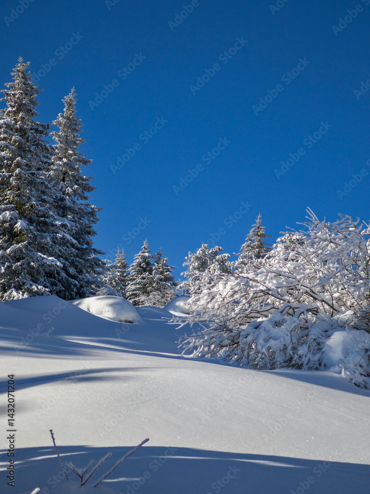 Panorama of Vitosha Mountain, Bulgaria