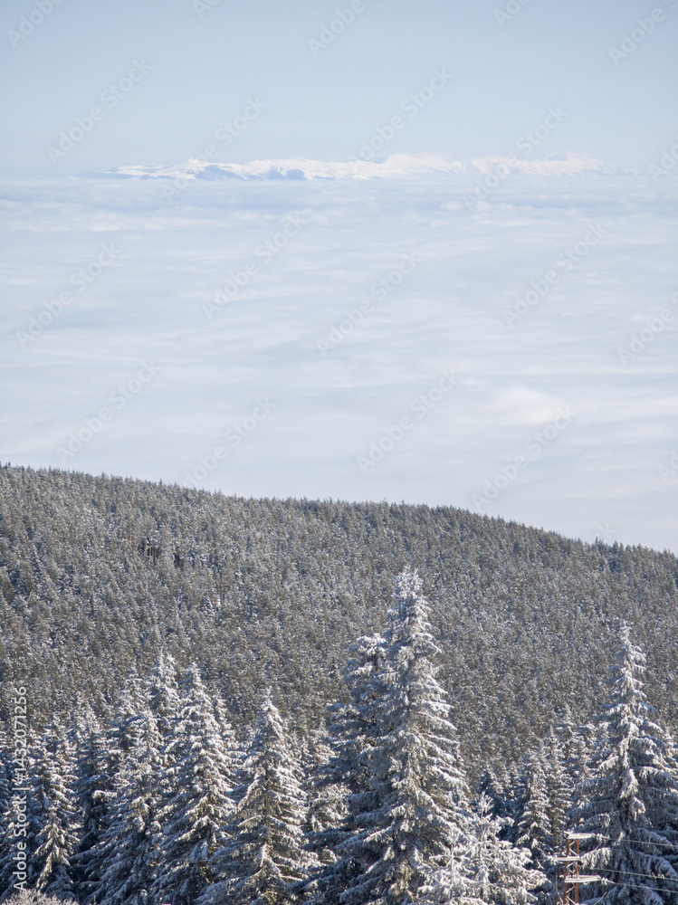 Panorama of Vitosha Mountain, Bulgaria