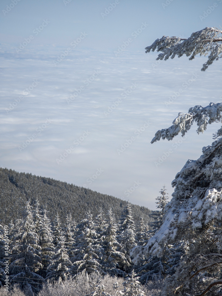 Panorama of Vitosha Mountain, Bulgaria