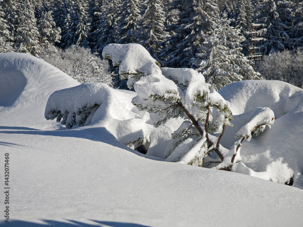 Panorama of Vitosha Mountain, Bulgaria