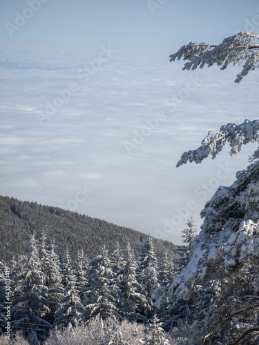 Obraz na płótnie Panorama of Vitosha Mountain, Bulgaria w salonie