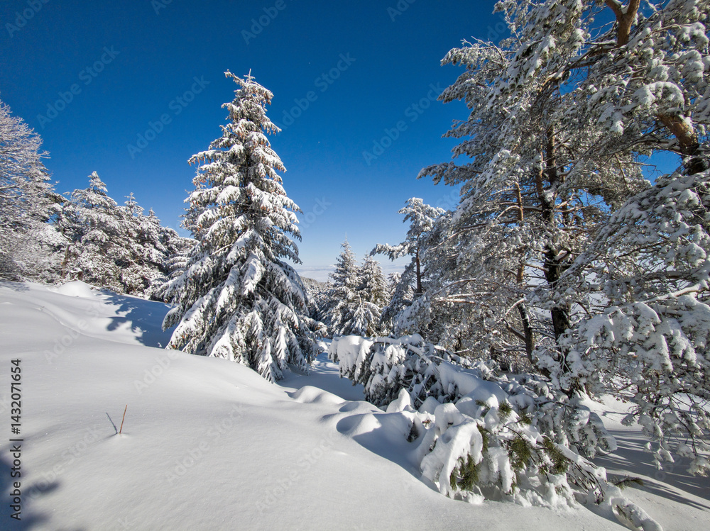 Panorama of Vitosha Mountain, Bulgaria
