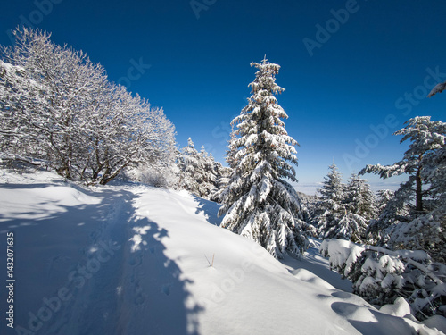 Obraz na płótnie Panorama of Vitosha Mountain, Bulgaria w salonie