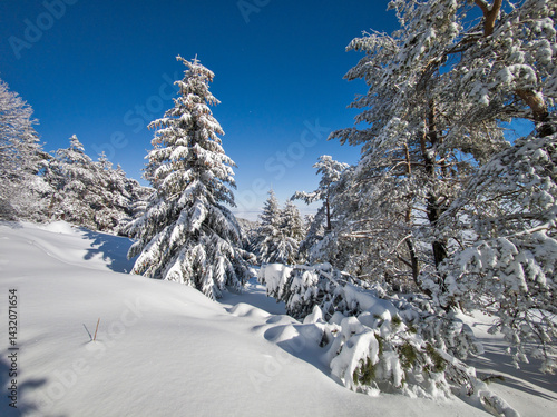 Panorama of Vitosha Mountain, Bulgaria