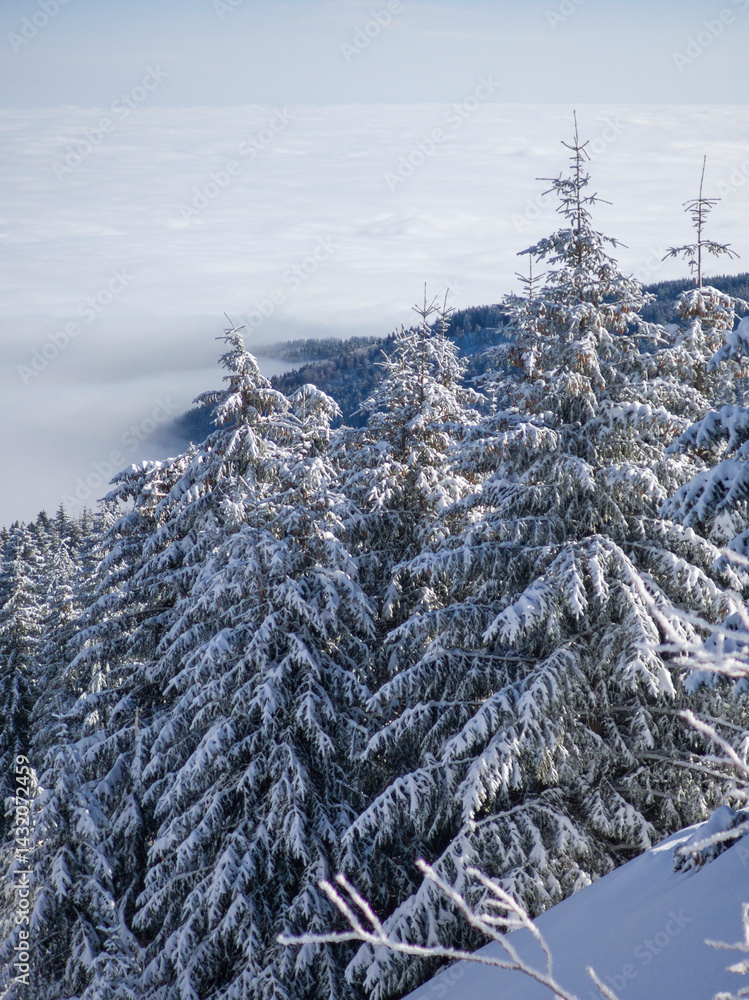Panorama of Vitosha Mountain, Bulgaria