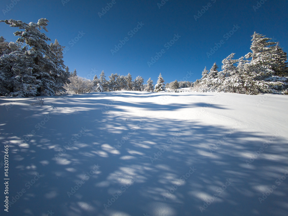 Panorama of Vitosha Mountain, Bulgaria