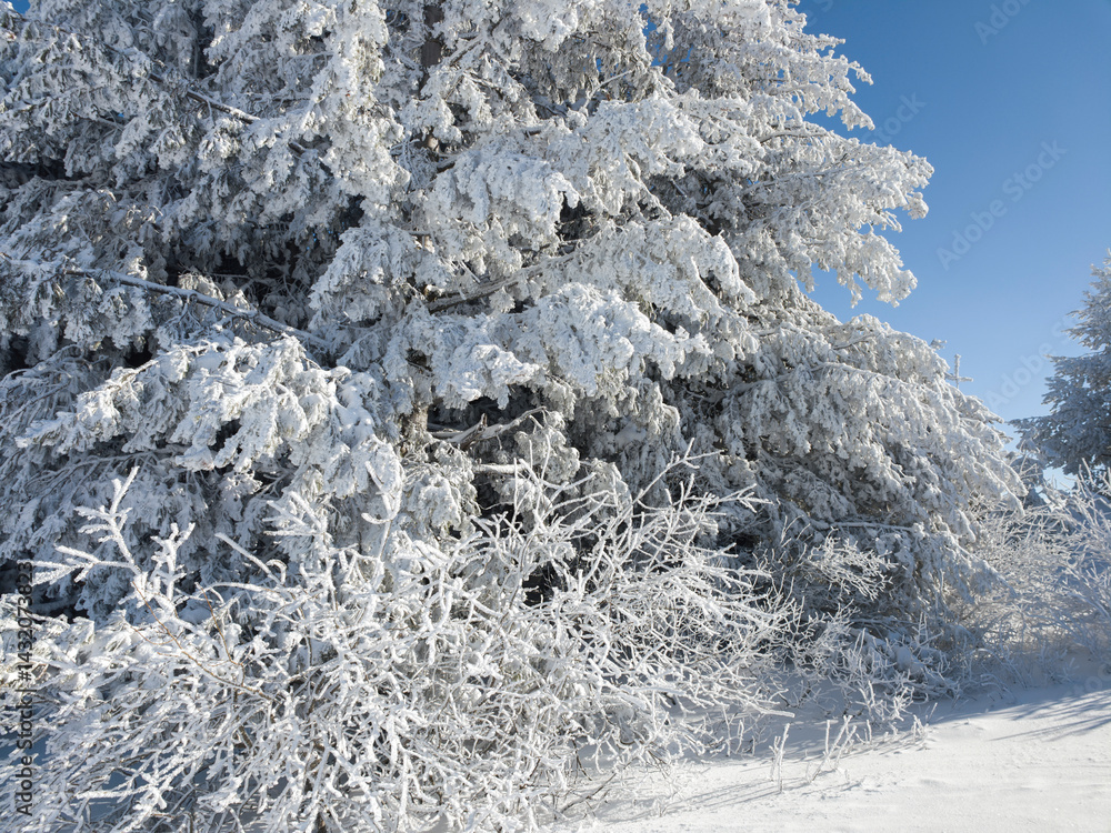 Panorama of Vitosha Mountain, Bulgaria