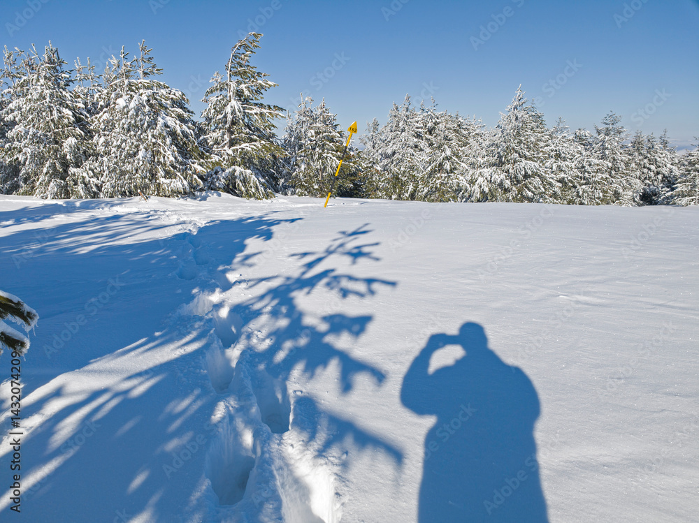 Panorama of Vitosha Mountain, Bulgaria